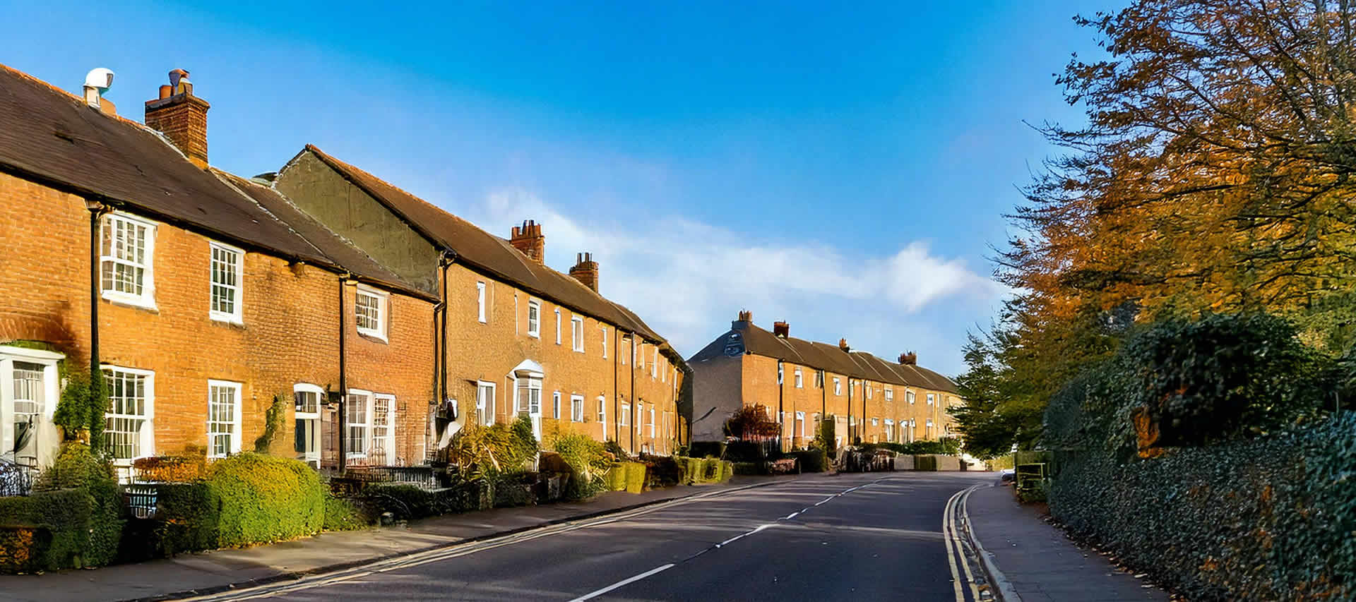 Tenancy Fraud Investigations